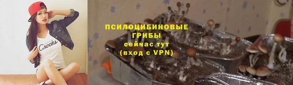 МДПВ Алзамай