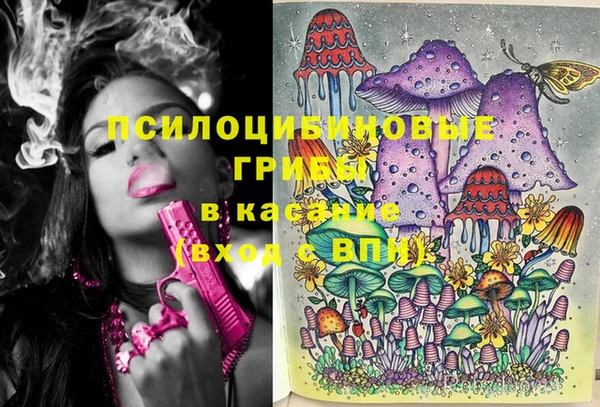 МДПВ Алзамай