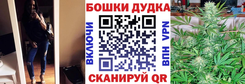Шишки марихуана планчик купить наркоту Буй